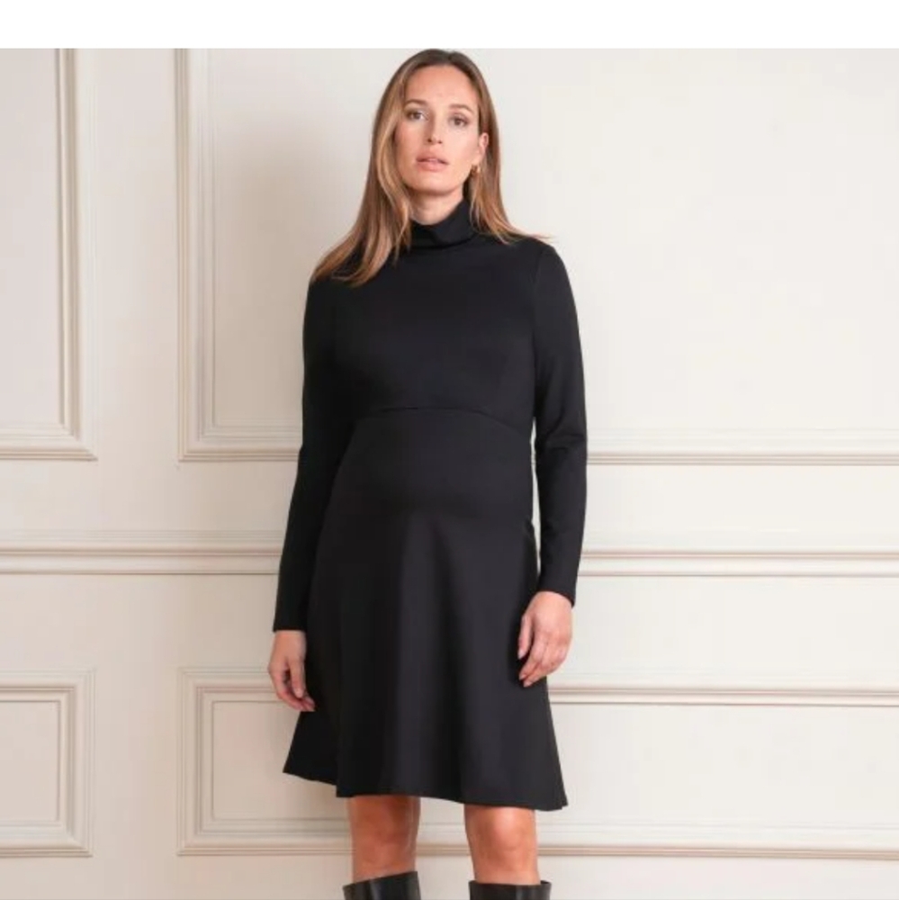 Seraphine Long Sleeve High Neck Maternity Dress